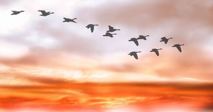 Red Hat AMQ migration