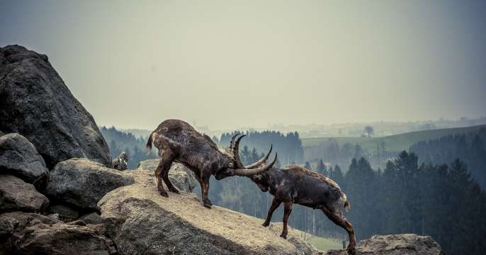 Stack clash mitigation in GCC, Part 3