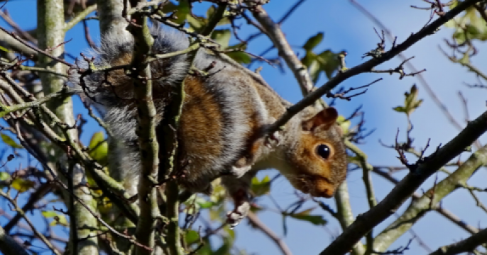 Biggest work environment distraction