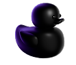 duck_black