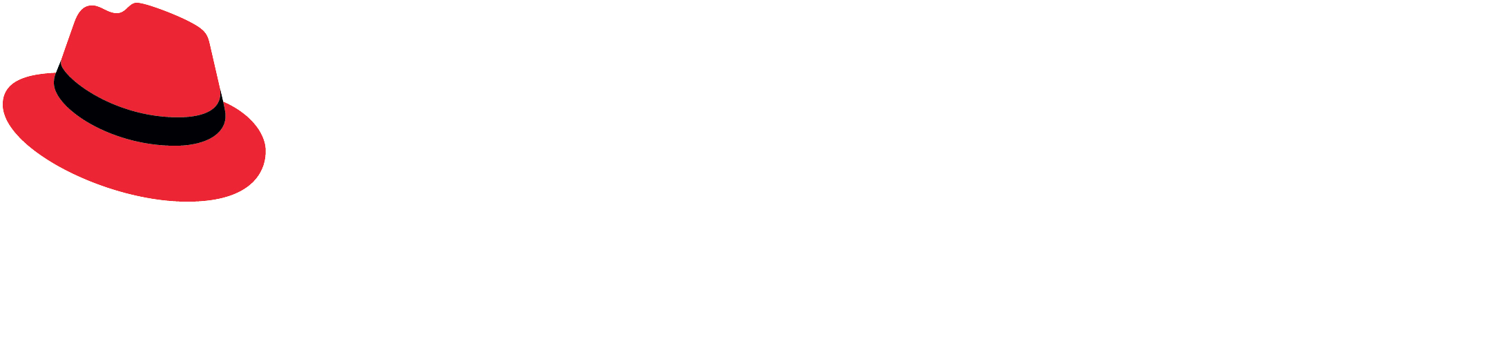 red_hat-developer_toolset logo reverse