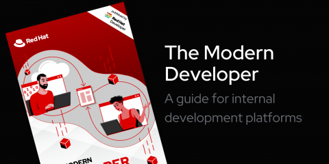 the modern developer e-book cover
