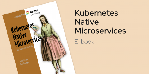 Kube-Native-Microservices