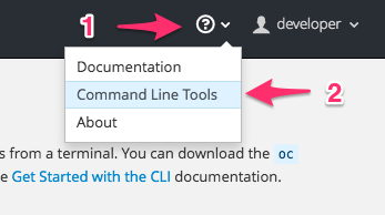 command-line-tools-menu-option