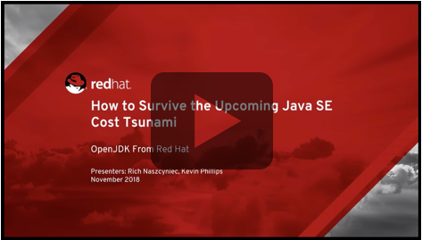 Java SE Cost Tsumani