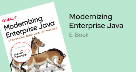 Modernizing Enterprise Java e-book tile card