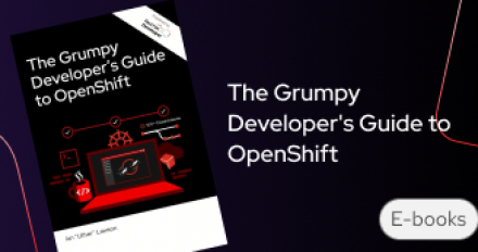 Grumpy developer guide feature image