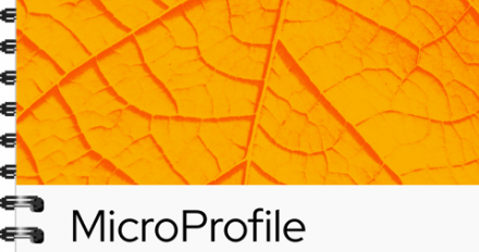 MicroProfile JWT Cover