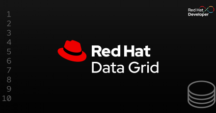 The words Red Hat Data Grid on a black background with Red Hat logo to the left.