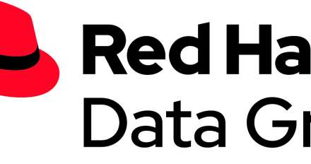 Red Hat Data Grid logo