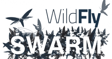 WildFly Swarm Logo