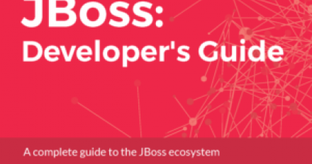 JBoss Developers Guide