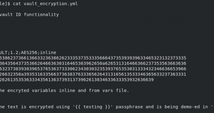 The results of running cat vault_encryption.yml.