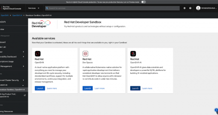 Access the Hybrid Cloud Console dashboard in the Red Hat Hybrid Cloud Console to launch OpenShift AI.