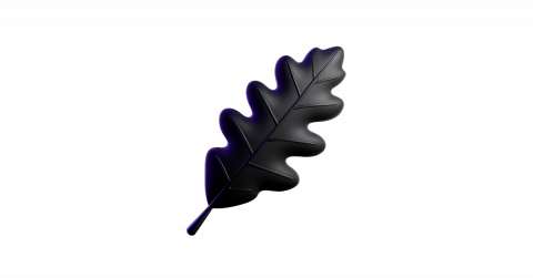 A matte black feather