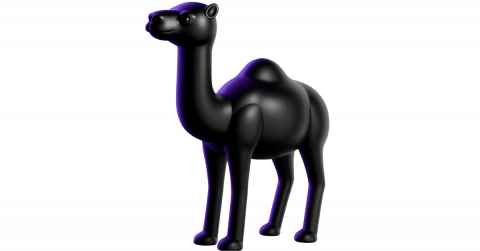 A camel