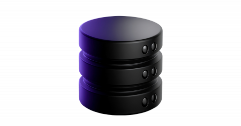 Database