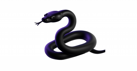 A matte black python
