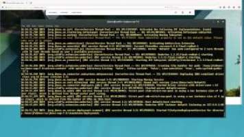 JBoss EAP 7 Management Console Overview