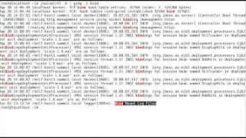 Red Hat Enterprise Linux 7 - Docker Overview