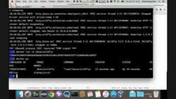 Developer Interview (#DI18) - Rafael Benevides about Docker for Java EE Developers