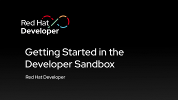 Getting started in the Developer Sandbox