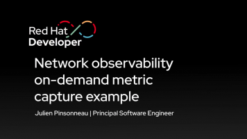 Network observability on-demand metric capture example