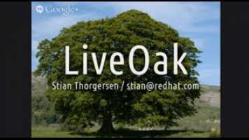 LiveOak: Is that a mobile backend as a service in your pocket?