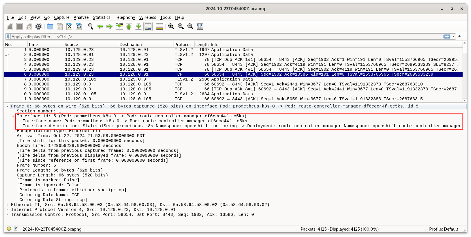 Wireshark displaying pcapng file